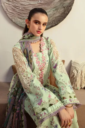 Alif Affordable Lawn by Abbas Jamil Rajpoot  – Mint Magic