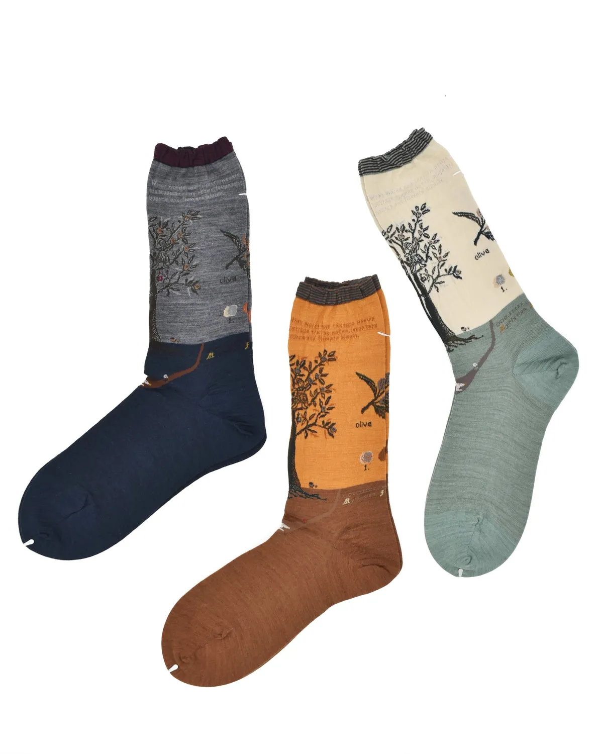 Antipast Olive Harvest Dress Socks