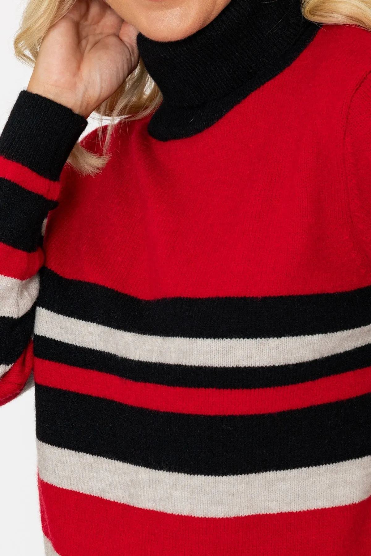 Black & Red Striped High Neck Jumper