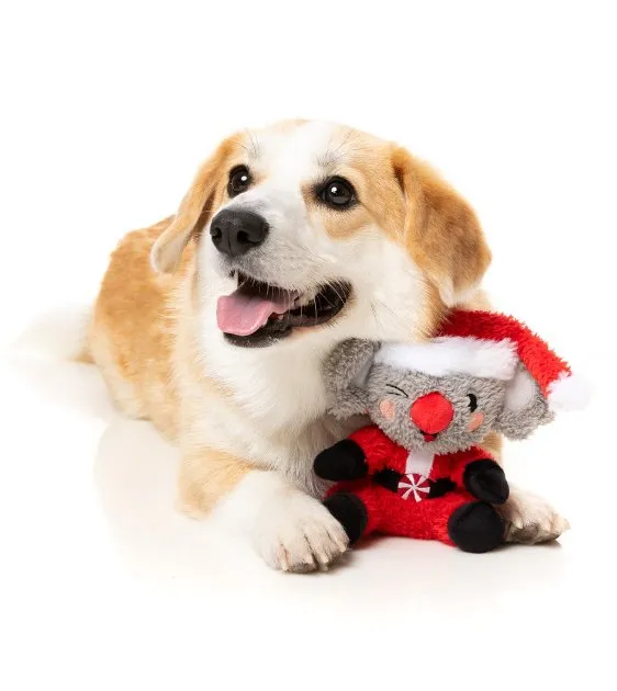 FuzzYard Christmas Dog Toy (Ko-Ko Koala)