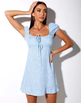 Galaca Mini Dress in Ditsy Rose Blue