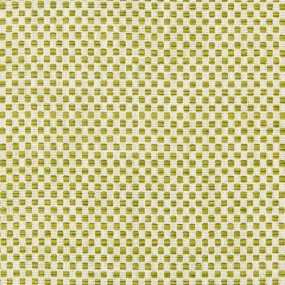 Green and Yellow Outdoor Fabric