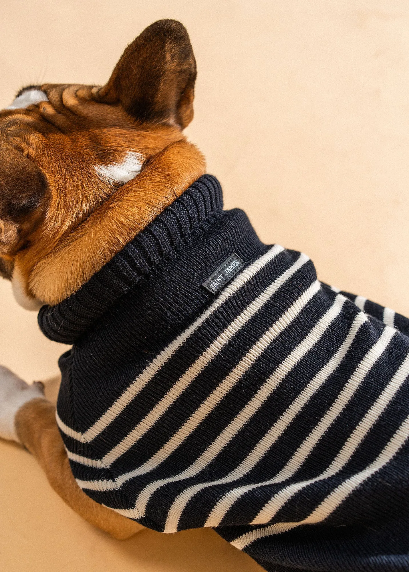 The Toutoupull SAINT JAMES - pup jumper (NAVY/ECUME)